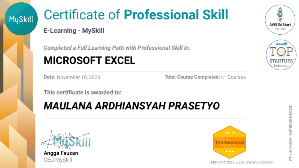 MICROSOFT EXCEL PROFESIONAL
